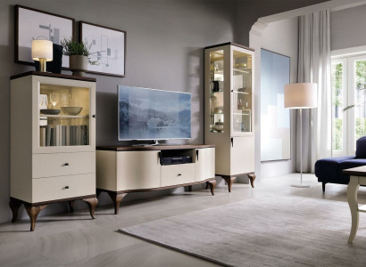 Classic Living Decoration Wall Living room Display case Sideboard TV cabinet Shelf Walls